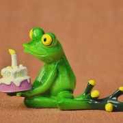 GreenQ bday GreenQ bday